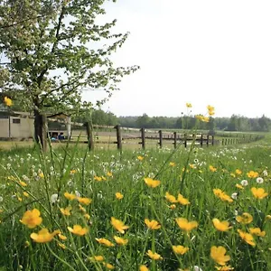 Agriturismo Cargandino Alloggio per agriturismo